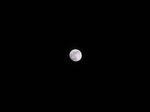 20070306-1-6.jpg