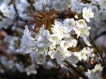20070408-5-1.jpg