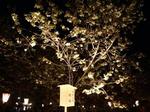 20070414-1-5.jpg