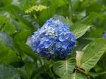 20070610-1-7.jpg