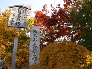 20071127-3-1.jpg