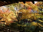20071127-3-4.jpg
